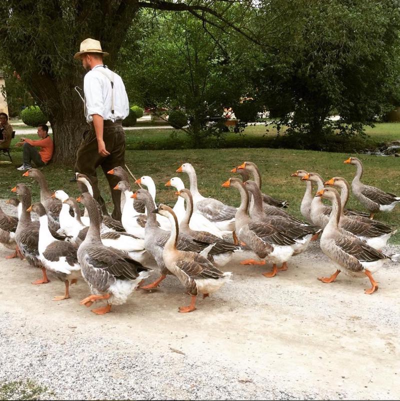 Parque temático le bournat