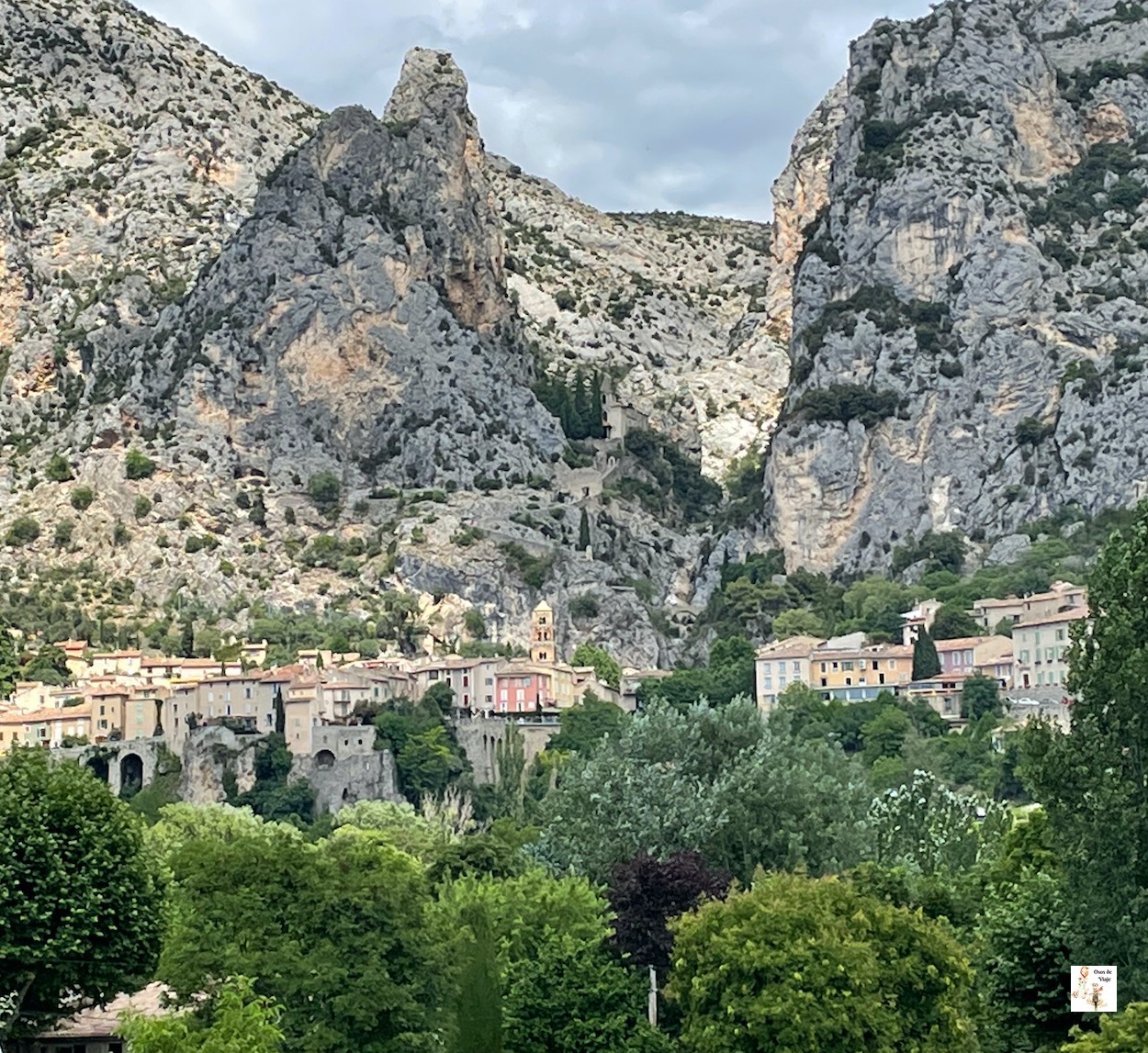 Campos de Lavanda (Provenza)
