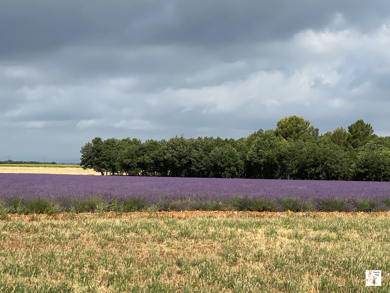 Puente de Galetas (Garganta de Verdon)