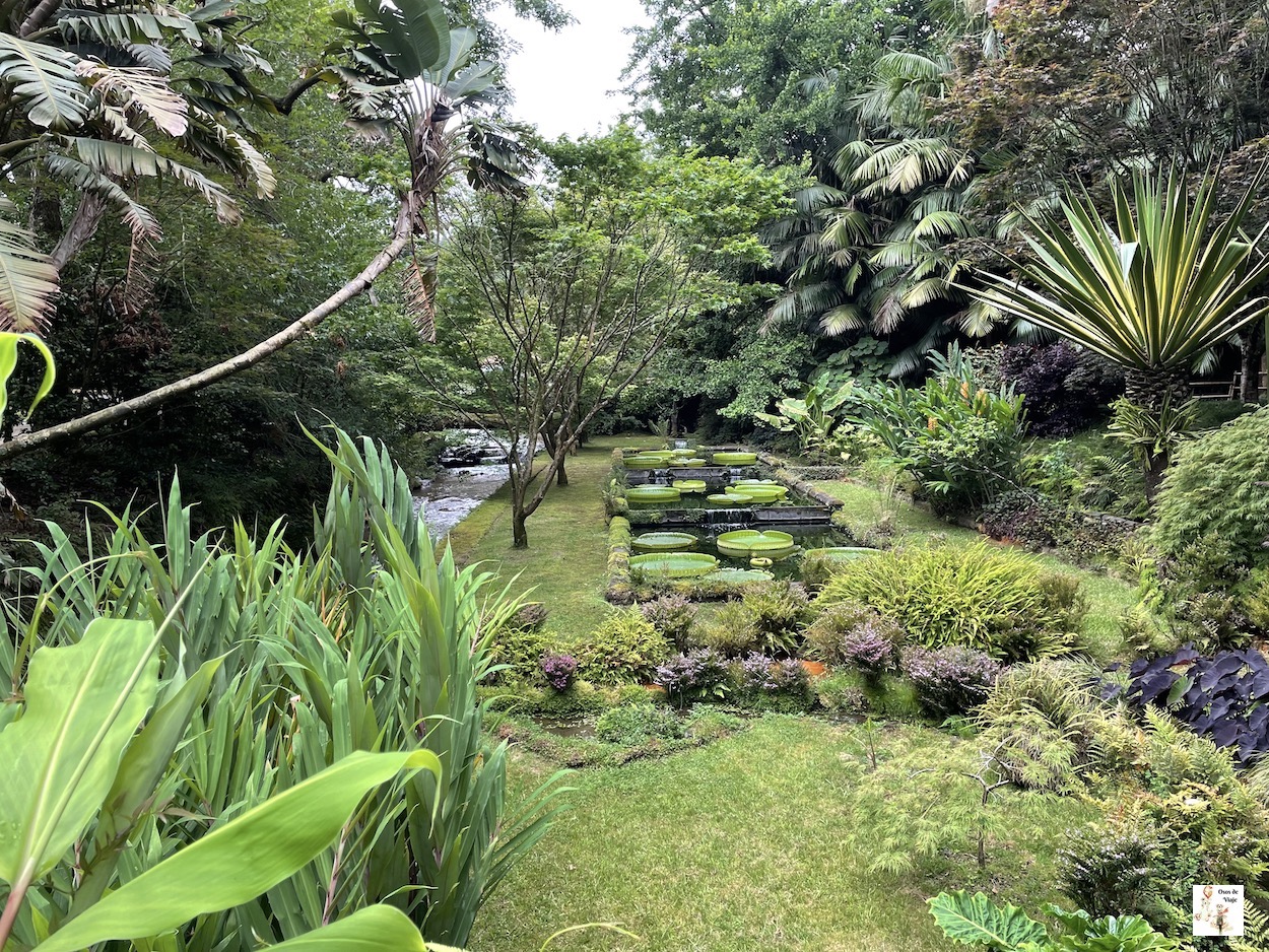 Terra Nostra (Furnas)