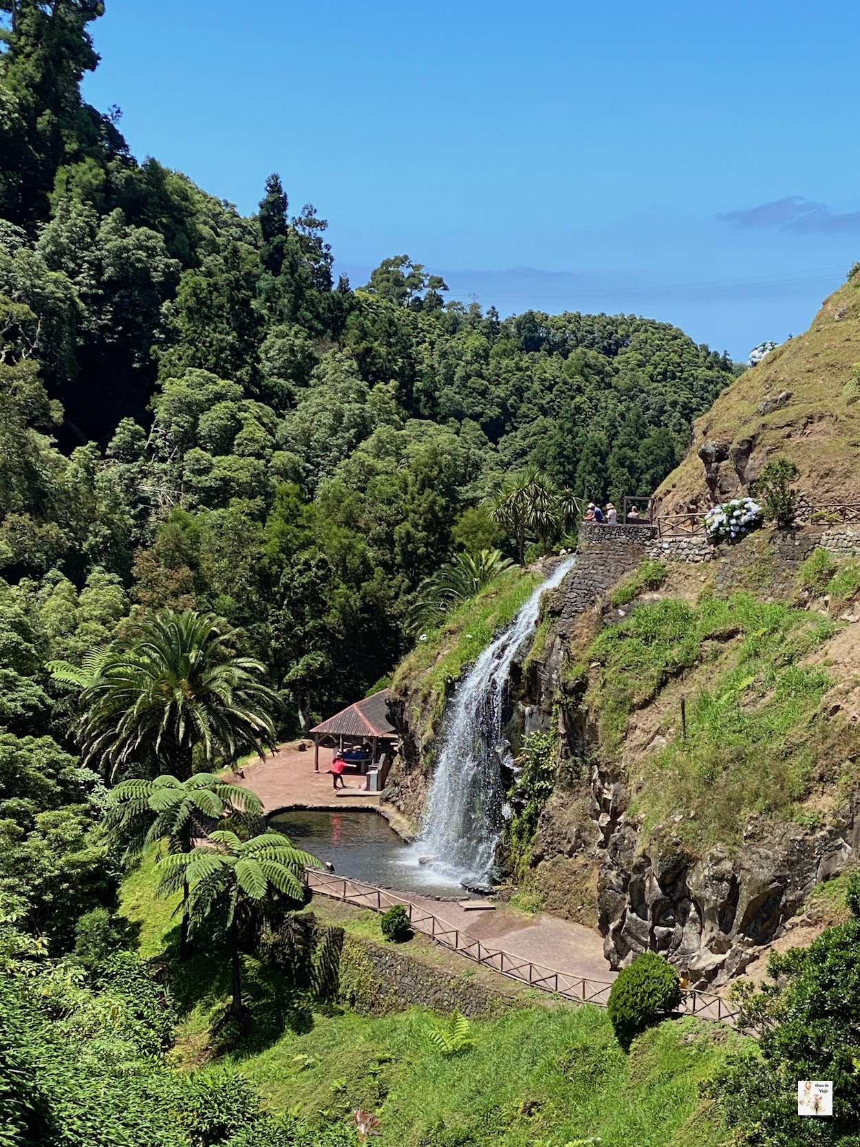 Terra Nostra (Furnas)