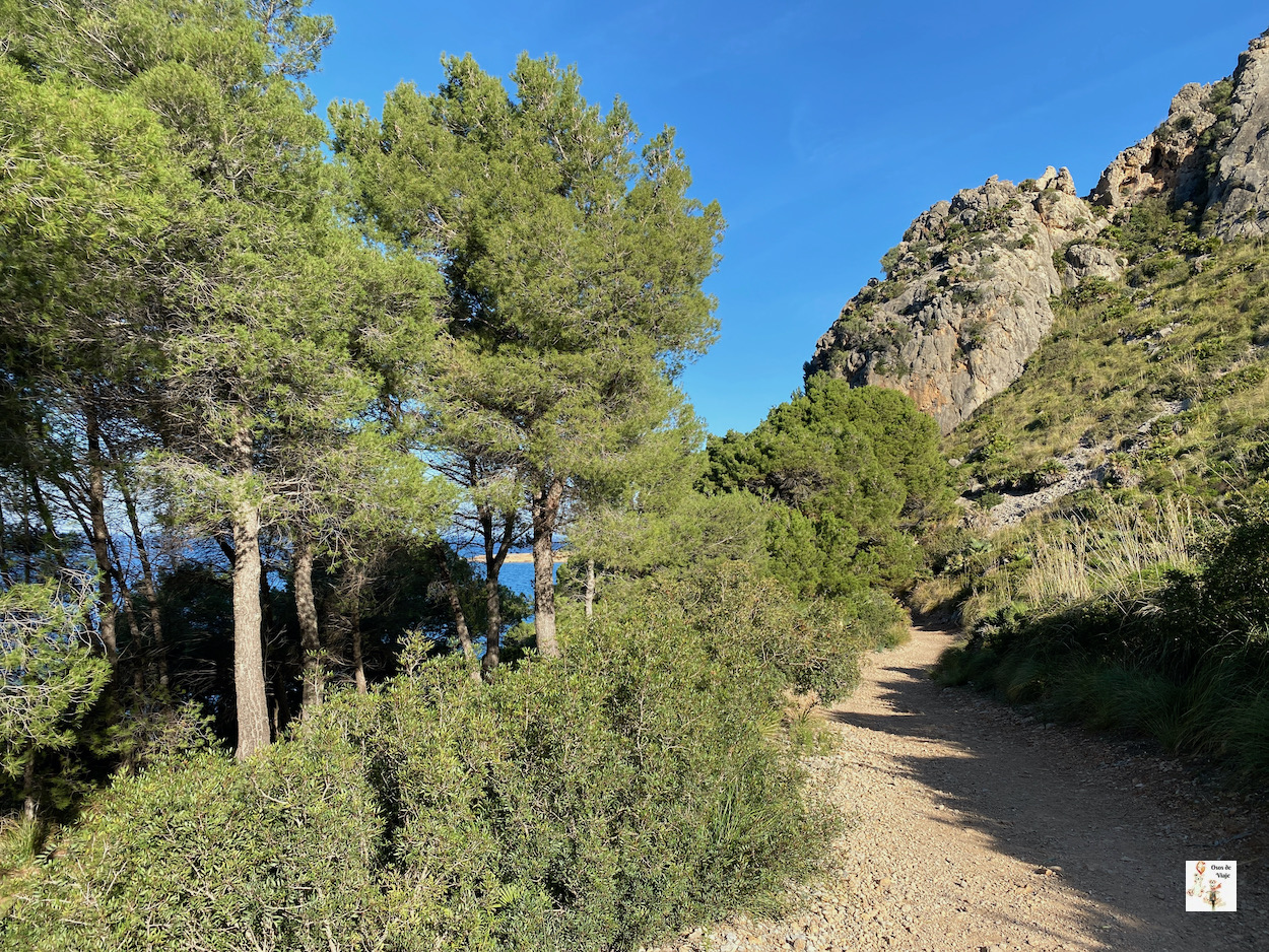 De Betlem a es Caló