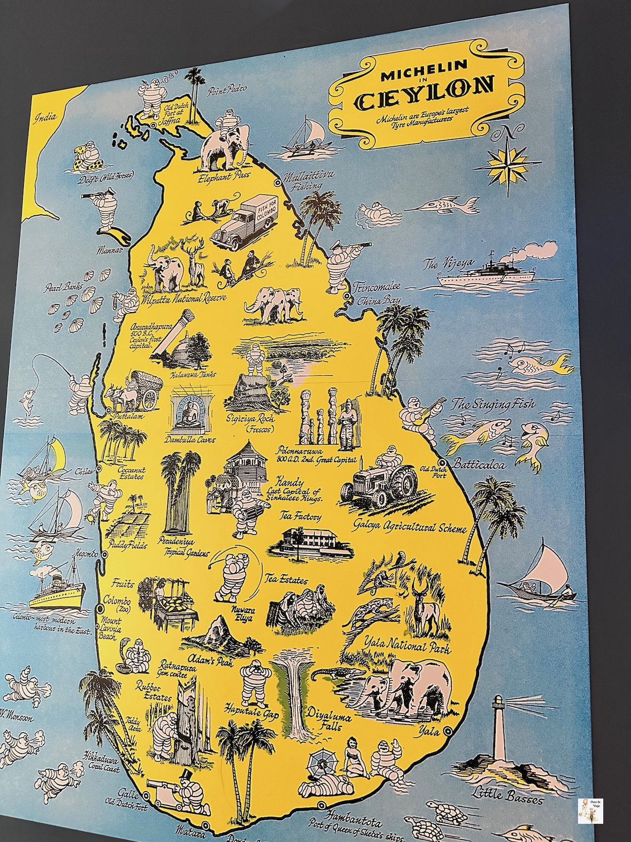 Automovilismo Michelin