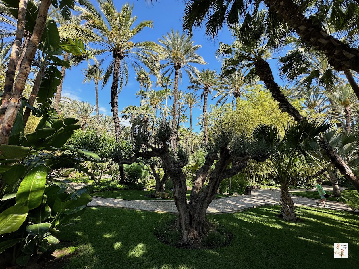 Huerto del Cura, Elche