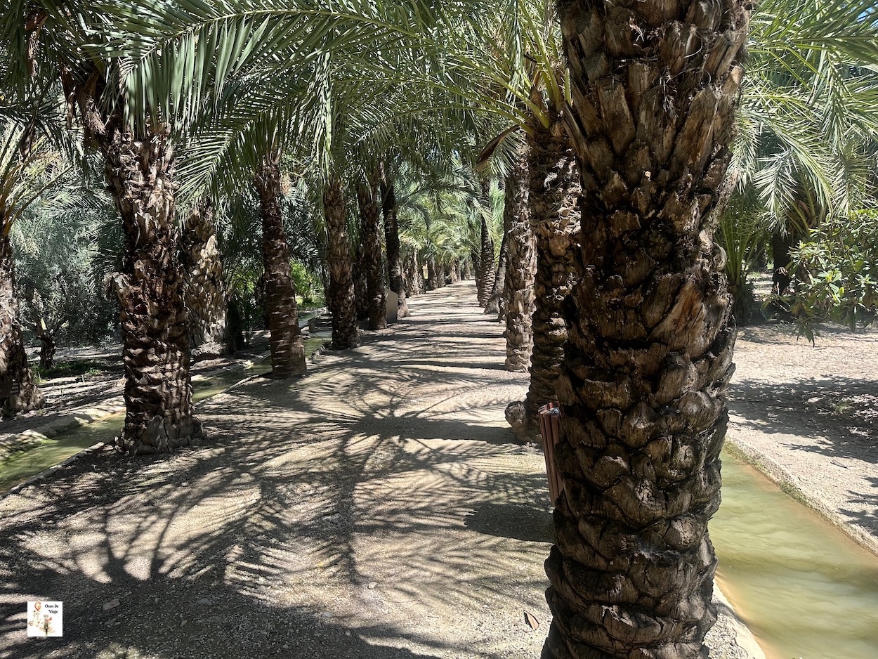 Huerto de San Plácido