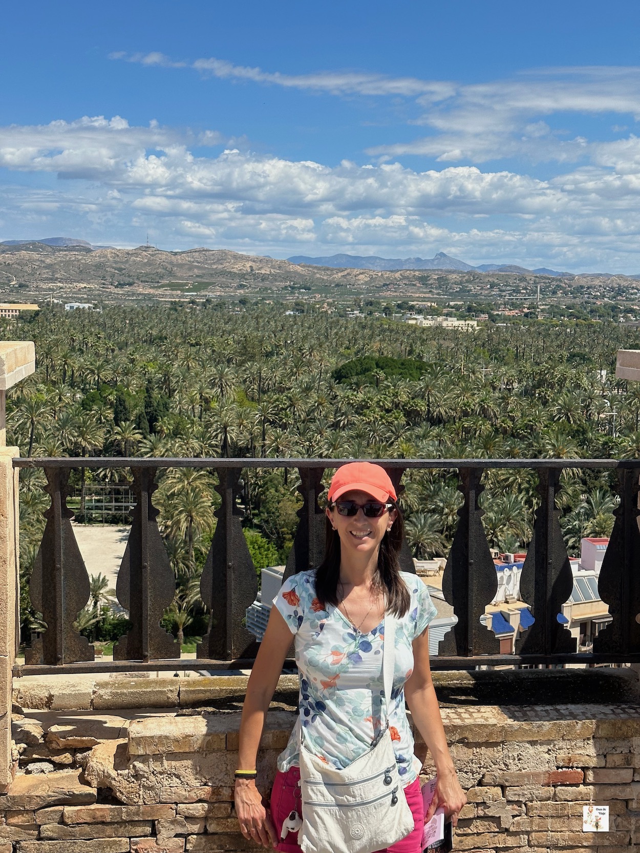 Vistas del Palmeral de Elche