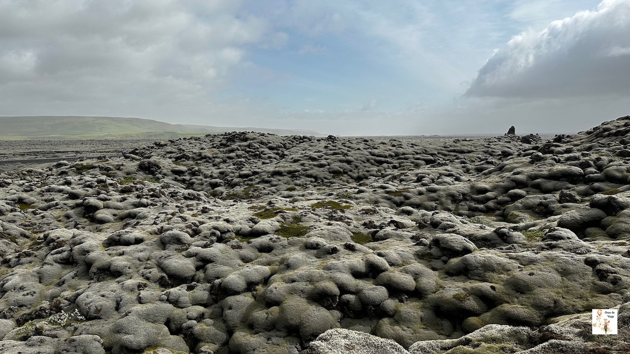 Campo de lava (Islandia)