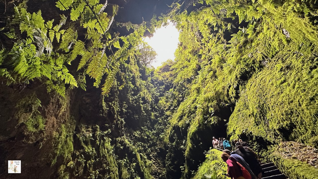 Algar do Carvao (Terceira)