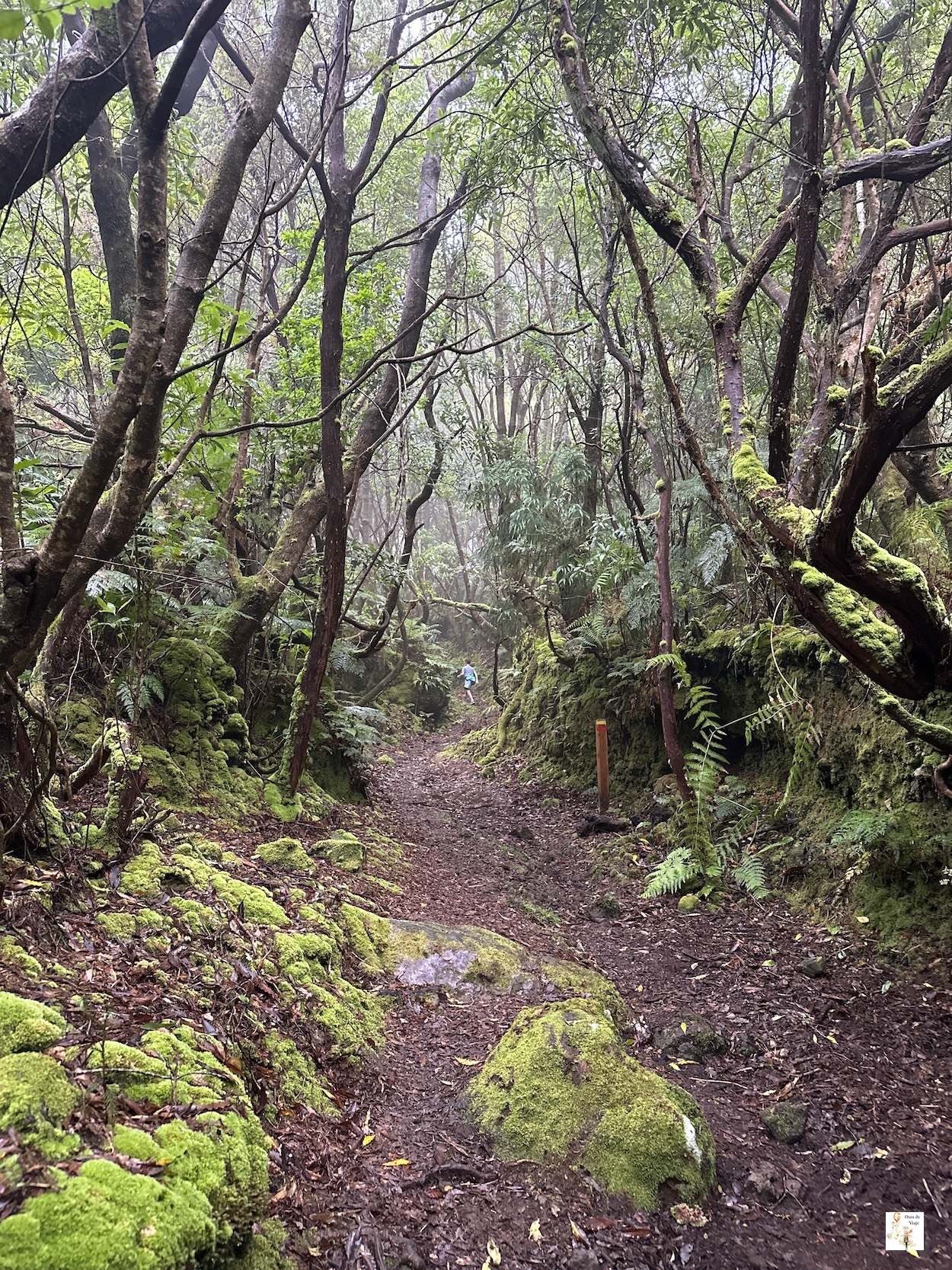 Sendero Serreta Lagoinha