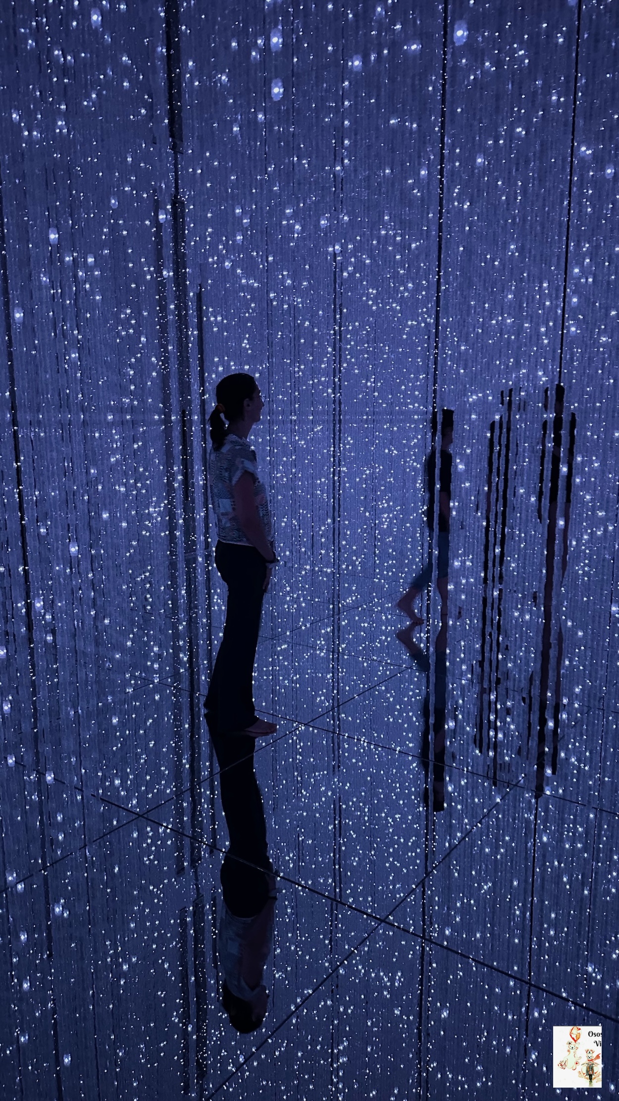 Experiencia inmersiva en TeamPlanets